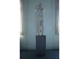 project-instal-002