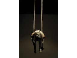 Work - Sculptures - Medium and large work - 10-medium-hanging